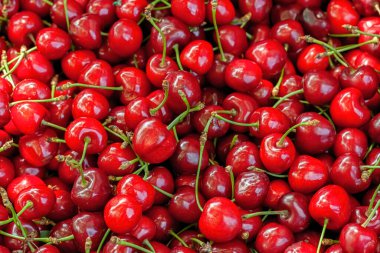 Meyve arkaplanı. Meyve suyu işlemleri için bir kutuda kırmızı kirazlar toplandı.