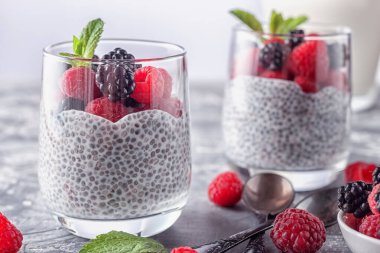 Hindistan cevizi sütlü Chia pudingi, taze ahududu ve böğürtlen. Vejetaryen sağlıklı yemek.