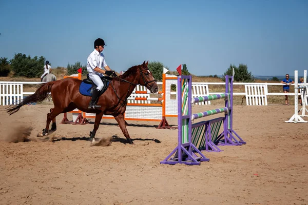 Esporte equestre - jovem cavaleiro se prepara para pular em um cavalo de castanha — Fotografia de Stock