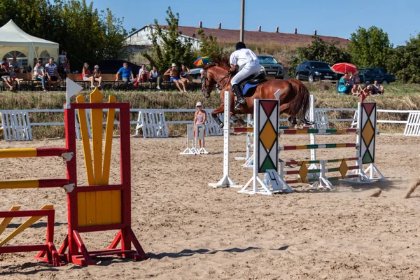 Esporte equestre - um jovem cavaleiro faz um salto em um cavalo de castanha — Fotografia de Stock