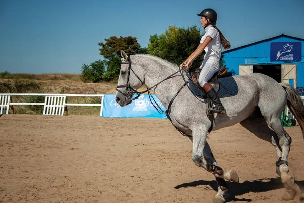 Esporte equestre - jovem preparando-se para pular em um belo cavalo — Fotografia de Stock