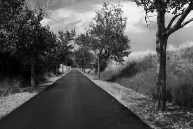 Azalan perspektifile boş ülke yolu.