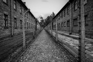 Auschwitz 1 onay kampı