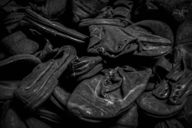 Auschwitz ölüm kampından siyah ve beyaz kalıntıları