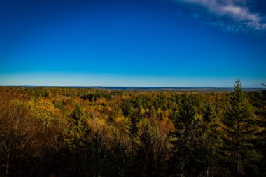 norveç yapraklı ormanlar