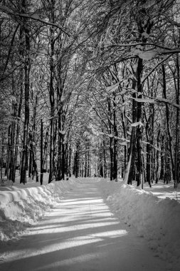 norveç te siyah beyaz kış yolu
