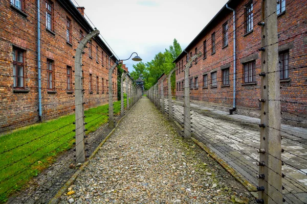 Auschwitz Onay Kampı — Stok fotoğraf
