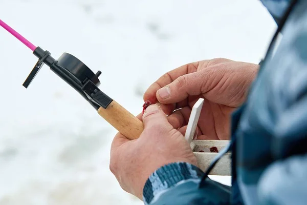 Fisherman Puts Bait Hook Winter Fishing — Stock Photo, Image
