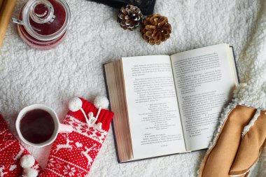 Rahat ev natürmort: çay fincan ve sıcak ekose ile kitap açıldı. Kış tatilleri, Noel zamanı konsepti
