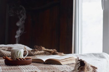 Oturma odasının ev içi. Yünlü battaniye ve buharlı bir fincan çay. Sabah güneşinde kanepede kahvaltı. Rahat sonbahar veya kış konsepti. Hyugge konfor