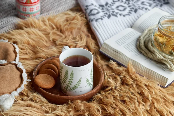 Cozy Home Still Life Cup Tea Opened Book Warm Plaid — Stock Photo, Image