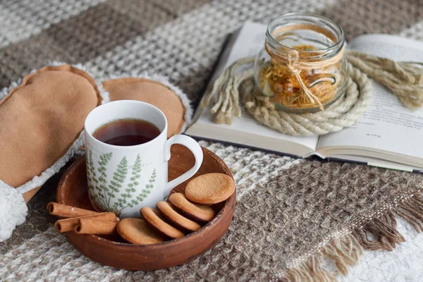 Cozy Home Still Life Cup Tea Opened Book Warm Plaid — Stock Photo, Image