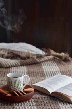Oturma odasının ev içi. Yünlü battaniye ve buharlı bir fincan çay. Sabah güneşinde kanepede kahvaltı. Rahat sonbahar veya kış konsepti. Hyugge konfor