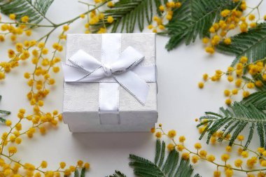 beyaz zemin üzerine sarı Mimoza çiçekli beyaz hediye kutusu. Bahar arka plan metin için yer ile. pastel tonu