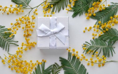 beyaz zemin üzerine sarı Mimoza çiçekli beyaz hediye kutusu. Bahar arka plan metin için yer ile. pastel tonu