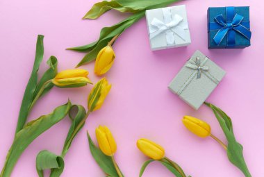 Sarı laleler ve hediye kutuları kopya alanı ile pembe bir arka plan üzerinde