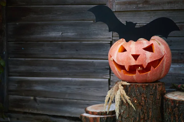 Halloween Pumpkin Head Lantern Eyes Face Stump Rustic Setting Bat — Stock Photo, Image