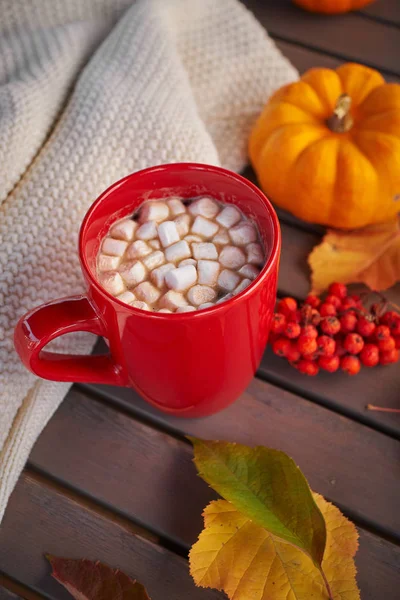 Red cup of cocoa with marshmallow, decorative pumpkin. Autumn mood, warming drink. Cozy atmosphere