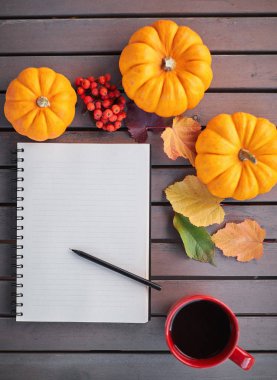Liste yapmayı planlıyorum. Tahta bir masada, balkabağı, rowan ve yapraklarla sonbahar havası kompozisyonu. Kırmızı fincanda açık not defteri ve koyu kahve ve gri ahşap arka planda, sıcak içecek.