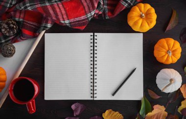 Liste yapmayı planlıyorum. Tahta bir masada, balkabağı, rowan ve yapraklarla sonbahar havası kompozisyonu. Kırmızı fincanda açık not defteri ve koyu kahve ve gri ahşap arka planda, sıcak içecek.