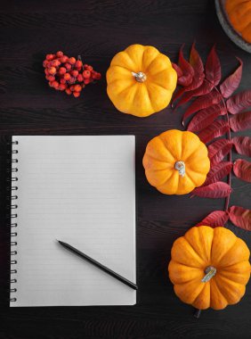 Liste yapmayı planlıyorum. Tahta bir masada, balkabağı, rowan ve yapraklarla sonbahar havası kompozisyonu. Kırmızı fincanda açık not defteri ve koyu kahve ve gri ahşap arka planda, sıcak içecek.