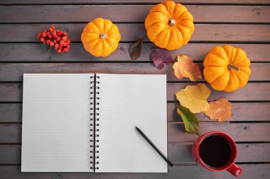 Liste yapmayı planlıyorum. Tahta bir masada, balkabağı, rowan ve yapraklarla sonbahar havası kompozisyonu. Kırmızı fincanda açık not defteri ve koyu kahve ve gri ahşap arka planda, sıcak içecek.