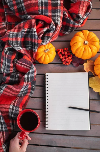 Planning to do list. Autumn mood composition on a wooden table with pumpkins, rowan and leaves. Open notepad and black coffee in the red cup and on grey wooden background, warming drink