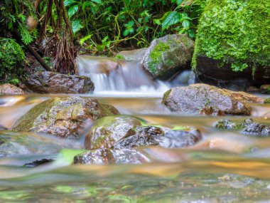 2 ormandaki ipeksi su
