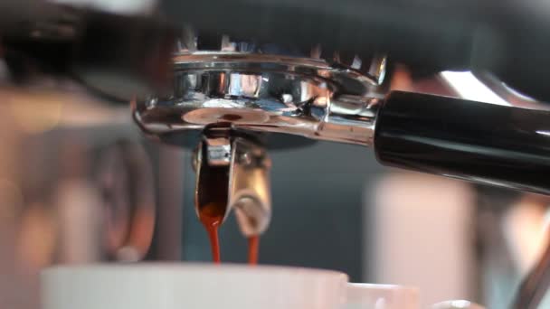 Frischer Kaffee in der Tasse — Stockvideo