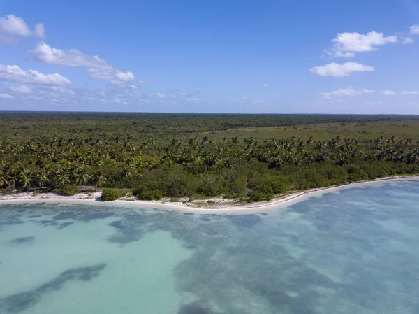 Saona Adası Dominik Cumhuriyeti