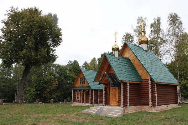 Caduta Russa Strada Foresta — Foto Stock