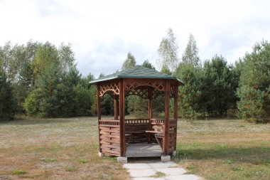 Rus düşüşü Yol ve orman