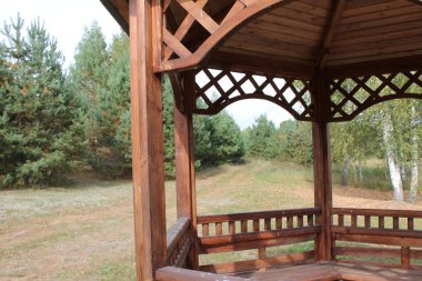 Rus düşüşü Yol ve orman