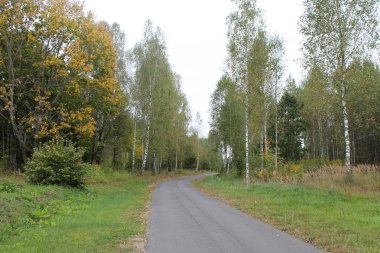 Rus düşüşü Yol ve orman
