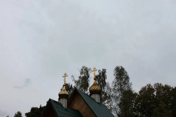 Chute Russe Route Forêt — Photo