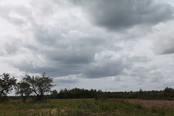 Російське Падіння Дорога Ліс — стокове фото