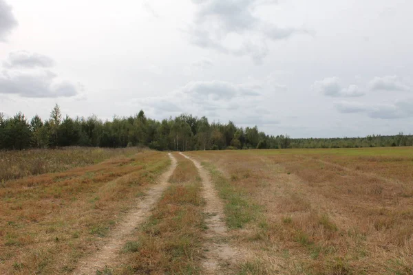 Caída Rusa Carretera Bosque — Foto de Stock