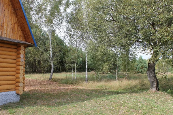 Caída Rusa Carretera Bosque — Foto de Stock