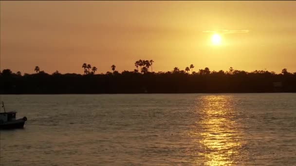 Amazon Βάρκα Στον Ποταμό Ηλιοβασίλεμα — Αρχείο Βίντεο
