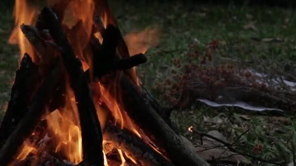 Video Camping Fire — Stock Video