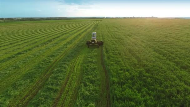 Sobrevoando Campos Paisagem — Vídeo de Stock