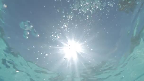 Vídeo Piscina Ensolarada — Vídeo de Stock