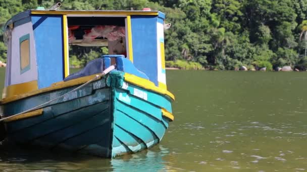 Video Dari Perahu Warna Pedesaan — Stok Video