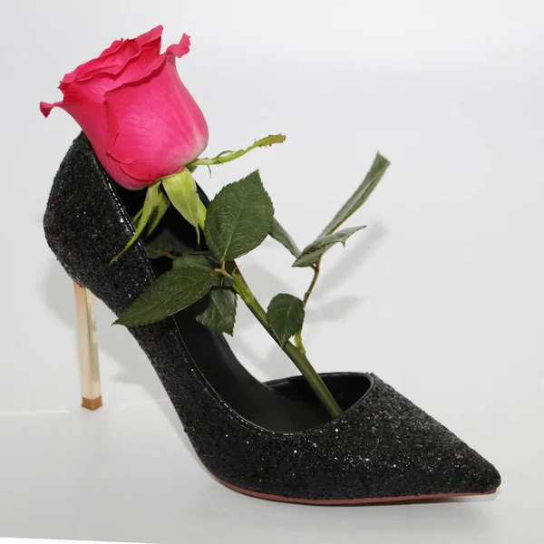 Rose Rose Dans Une Chaussure Femme Chaussures Noires Talons Hauts — Photo