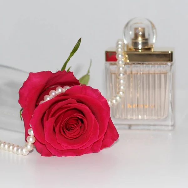 Photo One Red Roses Perfume Pearls Photo White Background — Stock Photo, Image