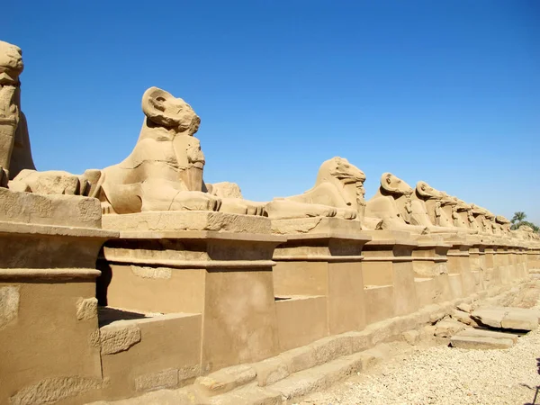 Steegje van de ram-headed sfinxen tegenover de tempel van Karnak in Luxor. — Stockfoto