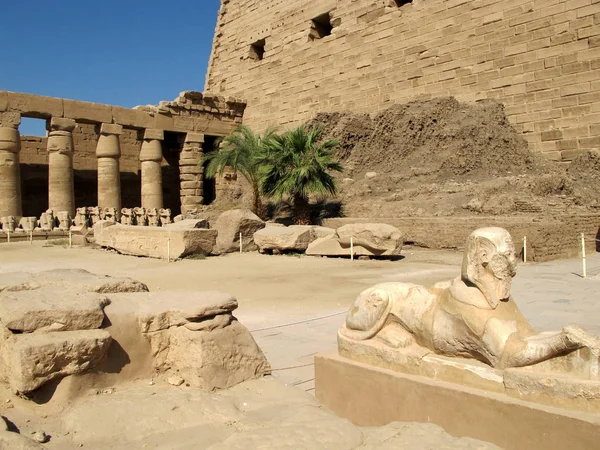 Steegje van de ram-headed sfinxen tegenover de tempel van Karnak in Luxor. — Stockfoto