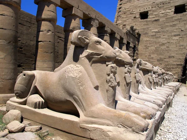 Steegje van de ram-headed sfinxen tegenover de tempel van Karnak in Luxor. — Stockfoto