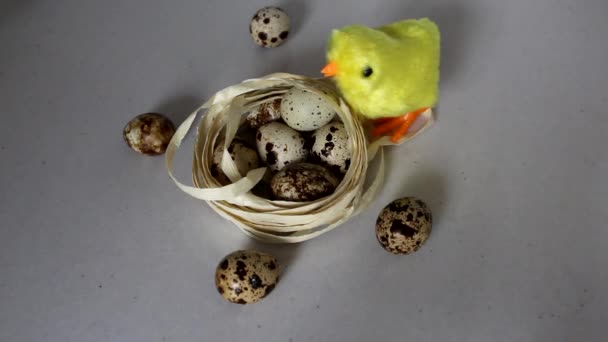 鸡蛋附近两只黄色的鸡 一只鸡跑着 鸡玩具钟表 — 图库视频影像