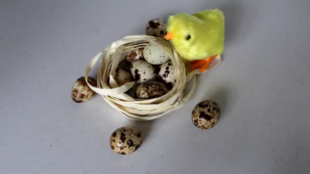 卵の近くに2つの黄色い鶏 1羽の鶏が走り ペック 鶏のおもちゃの時計仕掛け — ストック動画
